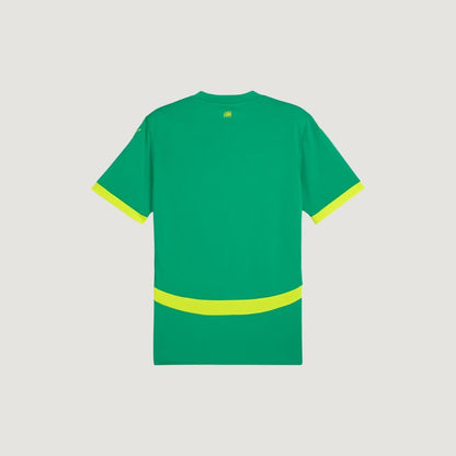 Sénégal - Maillot Extérieur 24/25 - Vert, Jaune