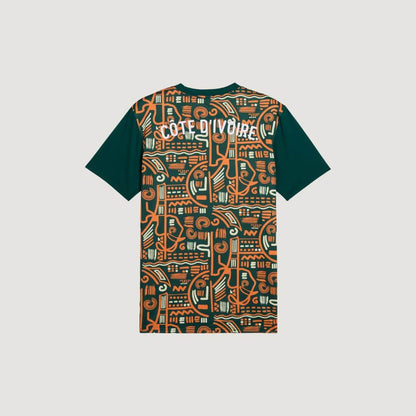 Côte d'Ivoire - Maillot d'avant-match 24/25 - Orange, vert